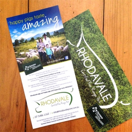 DL Brochure Design and Print