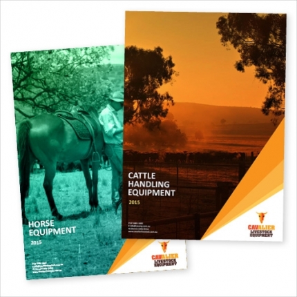 Brochure Design and Print